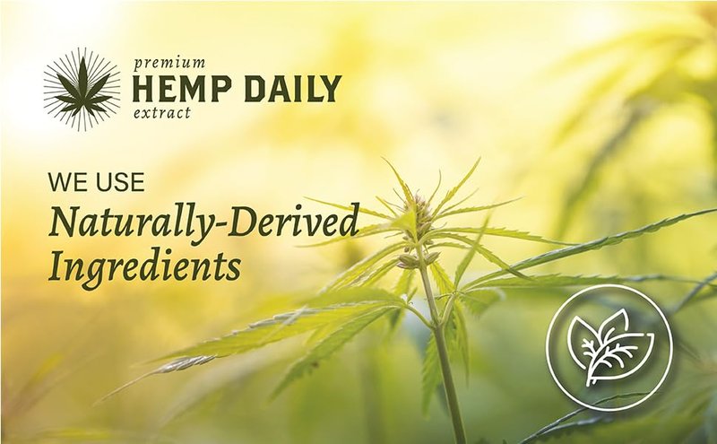 Hemp Extract Daily Intensive Cream - Organic Muscle & Joint Relief | 1.7 Oz Lavender, Pack of 2