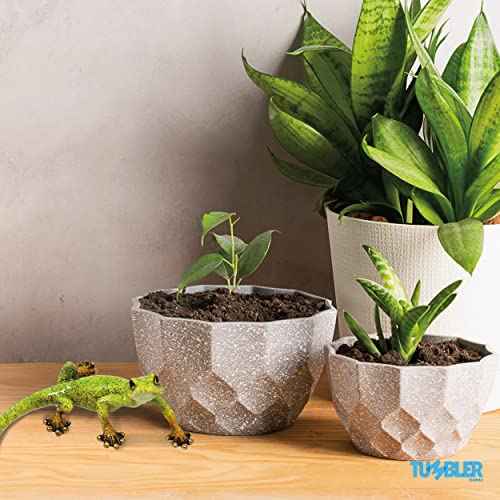 Lizard Home Decor Figurine for Desktop Decoration. Home Decor Accent for Living Room, Office, Kitchen, Bathroom or on Any Shelf in The House¡¦