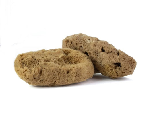 IntimateCare Sea Sponges. Mediterranean Sea Sponges in Plastic Free Packaging - Absolute Quality (Golden Yellow, 2X 6.5-8cm)
