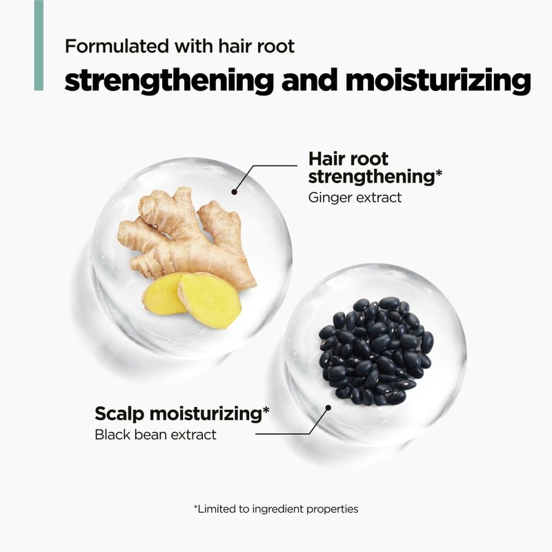 Green Tea Shampoo for Thinning Hair - Moisturizing Formula for Dry Scalp | 16.9 fl. oz.