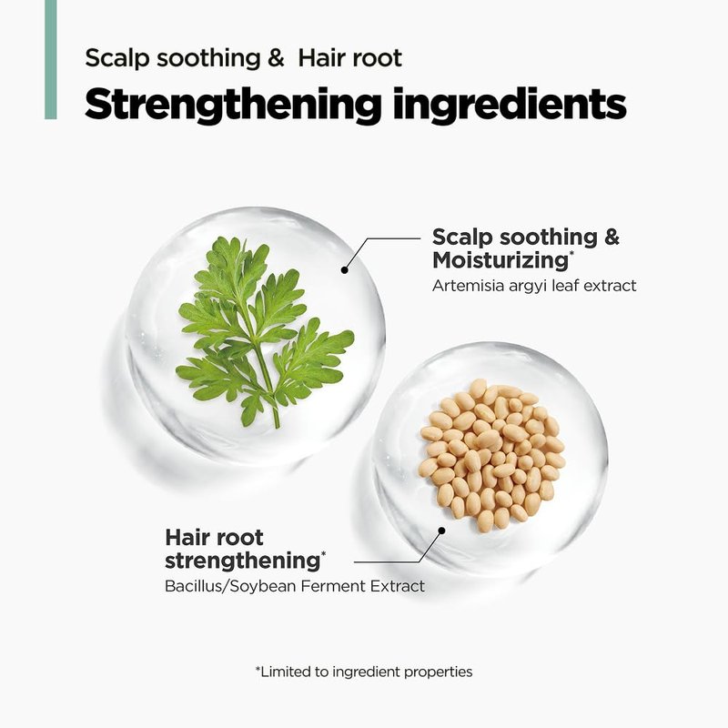 AMOS PROFESSIONAL The Green Tea Moisturizing Pack, Hair & Scalp Treatment for Thinning Hair, Korean Hair Mask, Strengthening Hair, All Hair Types, 8.4 fl. oz.