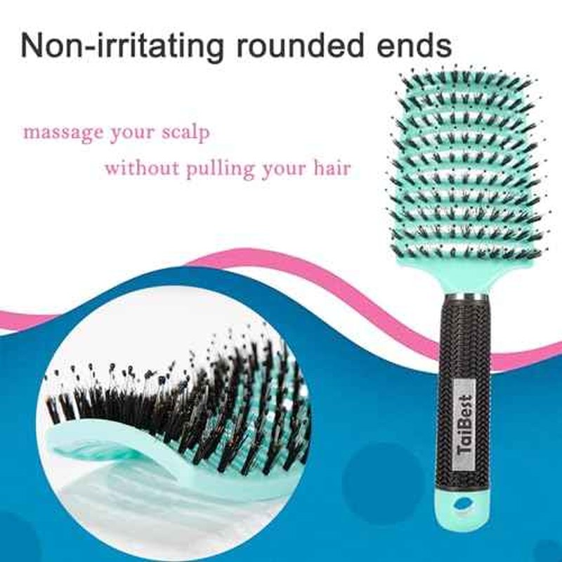 Boar Bristle Hair Brush Set - Dry/Wet Detangler for Fine, Thick, Curly Hair - Curved and Vented Brush for Women, Men or Kids (Purple & Green)