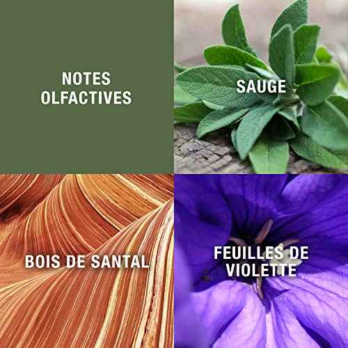 GEOFFREY BEENE Grey Flannel Toilettes Spray Ounce, Eau De Toilette, 4 Fl Oz