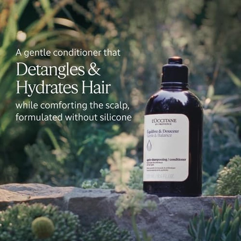 L'OCCITANE Aromachologie Gentle & Balance Conditioner 16.90 fl.oz