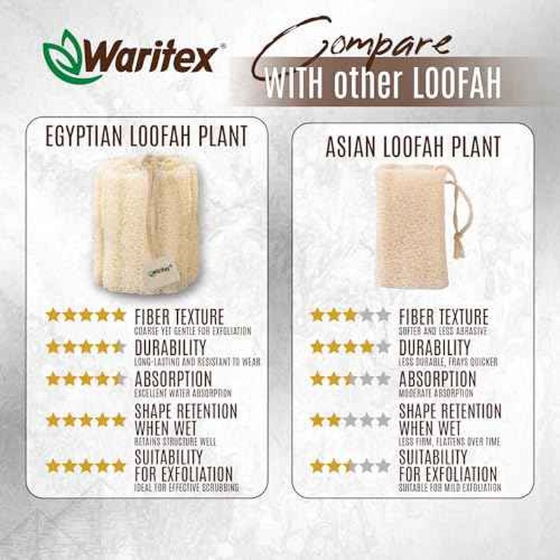Waritex Premium Natural Egyptian Loofah Sponges, Made from 100% Natural Organic Material, Gentle Skin Exfoliation, and Full-Body Spa Experience ? Eco-Friendly Loofah 2 Count (1 Pack)