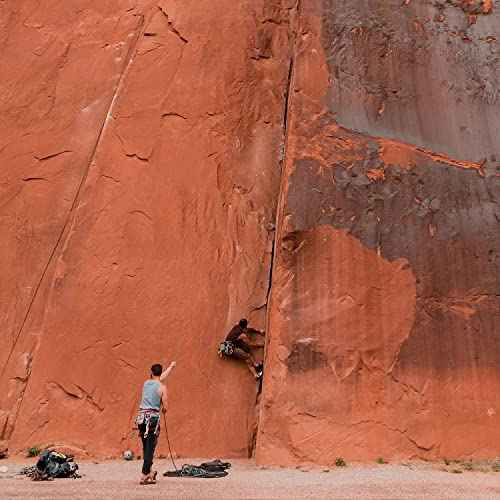 Badger Foot Balm, 100% Organic Foot Cream for Dry Cracked Heels and Feet, Fast Acting Foot Care for Women & Men, All-Natural Cracked Heel Treatment, 2 oz Tin