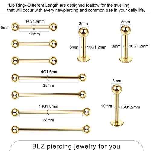BLZ Piercing Kit Stainless Steel Piercing Needles 20G 18G 16G 14G 12G Belly Button Ring Ear Nose Septum Piercing Jewelry with Clamps Gloves Piercing Tools for Body Piercing