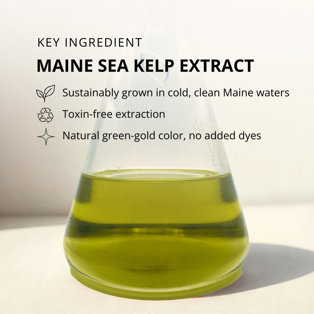 KelpGlow Facial Oil with Kelp Extract - Signature Citrus - Nourishing Face Oil for Glowing Skin - Clean & Natural Ingredients, Non-Greasy Formula - 10ml/0.34oz