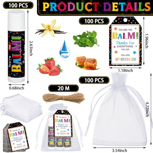 25 Pack Christmas Employee Staff Appreciation Gifts Bulk Lip Balms Team Thank You Gifts Coworkers Teacher Nurse Appreciation Christmas Party Favors Stocking Stuffers for Volunteer Homeless