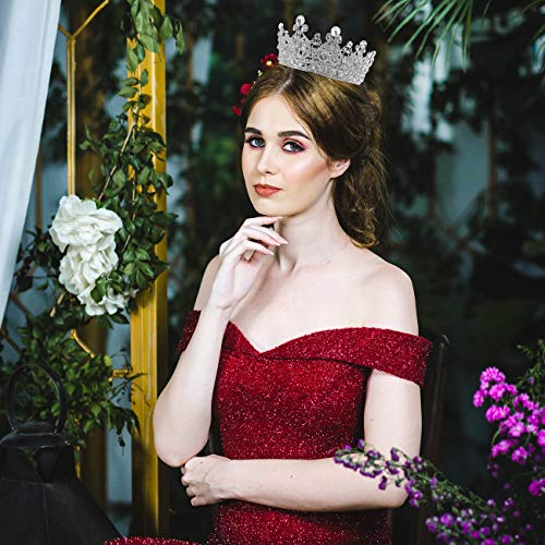 Glinda The Good Witch Crown, Princess Diaries Costume Tiara for Women - Vofler Silver Coronas para 15 A?os Hair Accessories Cake Topper for Bride Girl Party Quinceanera Prom Wedding Birthday Pageant