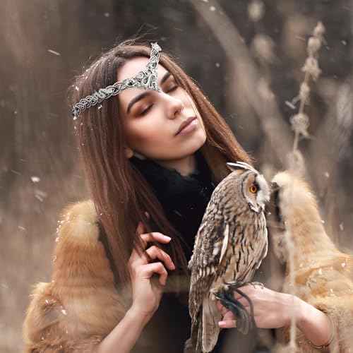 Renaissance Medusa Snake Crown - Medieval Retro Elf Viking Crown Braided Viking Tiara Fairy Circlet Silver Snake Vintage Celtic Headband Cosplay Halloween Elf Headpiece for Men and Women