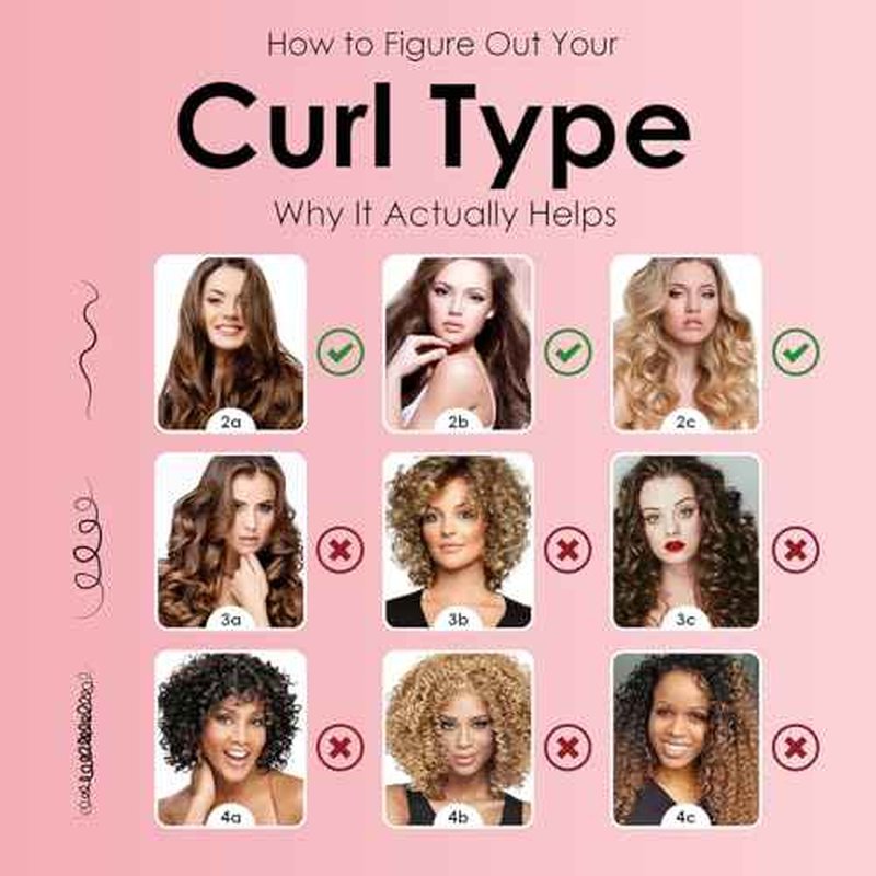 CANDYBRUSH Wet Hair Brush for Blow Dryer Detangling Curved Vented Drying for Straight Fine Hair for Women Round Detangler Soft Bristles Scalp Massage Medium Light Purple Colorful Transparent