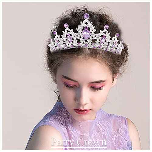 SuPoo Tiaras and Crowns for Women Purple Crown Silver Crystal Birthday Crown Wedding Tiaras Purple Gems Rhinestone Headband Hair Accessories Princess Decoration for Halloween Party Prom Gifts