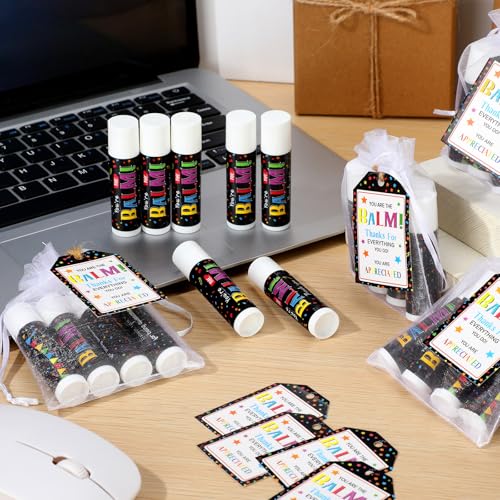 25 Pack Christmas Employee Staff Appreciation Gifts Bulk Lip Balms Team Thank You Gifts Coworkers Teacher Nurse Appreciation Christmas Party Favors Stocking Stuffers for Volunteer Homeless