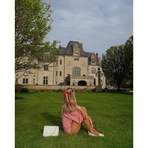 Ayesha Red Hair Bows Clips Coquette Ribbon Bowknot with Long Tail Princess Hair Bows French Barrettes Hair Accessories for Women Girls 4pcs (red)