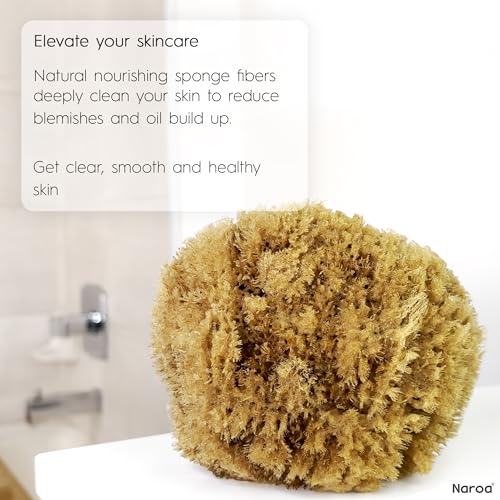 Naroa Exfoliating Natural Sponge for Shower X Large | Bath Sea Loofah for Healthy Skin | Unbleached Bathing Body Scrubber Puff | Plastic Free