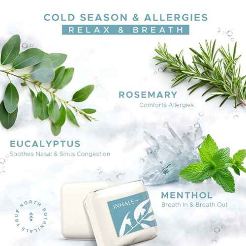 Large Shower Steamers (12 Pack - 1.75oz Each) | Variety Pack | Aromatherapy Spa Gift Set for Relaxation & Refreshment | Perfect for Men, Women, & Teens | Ideal for Christmas, Birthdays & Holidays