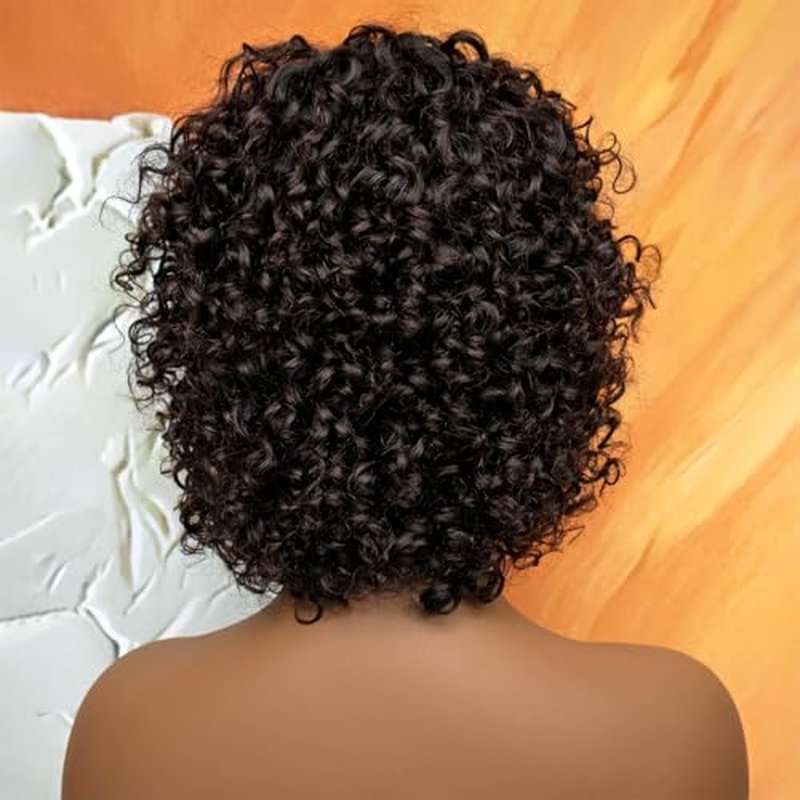 HairyFairy short curly wigs, 100% human hair wigs for black women, human hair wig with bangs glueless, machine made, no lace, light and comfortable (natural black, 12 inches)