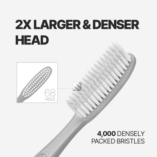 WANGTA Basic Stone – Extra Large Toothbrush – 1.6 inch (4 cm) Wide Head | 4,000 Bristles for Deep Cleaning & Gum Care | Made in Korea Premium Oral Care (10 Pack)