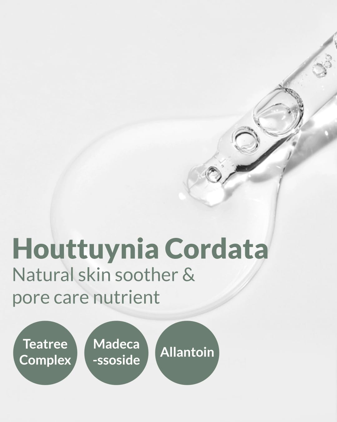 HERBNOTE Heartleaf Soothing Moisture Ampoule - Enriched with 80% Extracted Houttuynia Cordata, Teatree & Pantenol - Effective for Sebum Control - Clinical Tested, 1.35 fl.oz