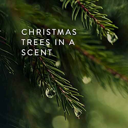 Thymes Bar Soap Trio Gift Set - Frasier Fir - Natural Hand Soaps - Contains Three - Cruelty-Free and Vegan - Pine Tree Scented Hand and Body Soap - 5.5 Oz Bars