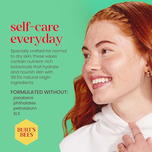 Burt's Bees Stocking Stuffers, Cucumber & Mint Face Wipes, for All Skin Types, Refreshing Makeup Remover & Facial Cleansing Towelettes, Skin Care Christmas Gifts, 30 Ct. (3-Pack)