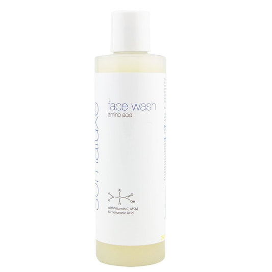 Hyaluronic Acid Face Wash with Vitamin C - Anti-Aging Daily Cleanser for All Skin Types | 8oz