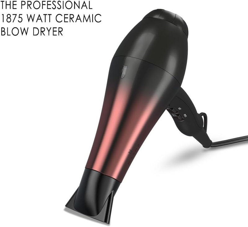 Professional 1875W Hair Dryer - Lightweight Ionic Blow Dryer with 2 Speed & 3 Heat Settings | Includes Diffuser, Concentrator & Comb (Black)