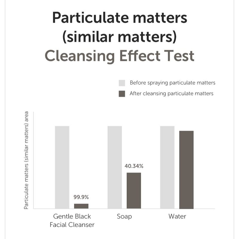 Gentle Black Facial Cleanser - Korean Low-pH Foam with Activated Charcoal | Non-Stripping Face Wash for Sensitive Skin, 4.73 Fl Oz