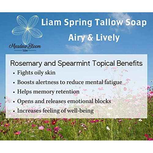 EST'D 2004 HC Meadow Bloom Tallow Bar Soap - Rosemary & Spearmint 2 Pack - Made with All Natural 100% Grass Fed Tallow Handmade Soap Bar - Great for Face or Body Soap