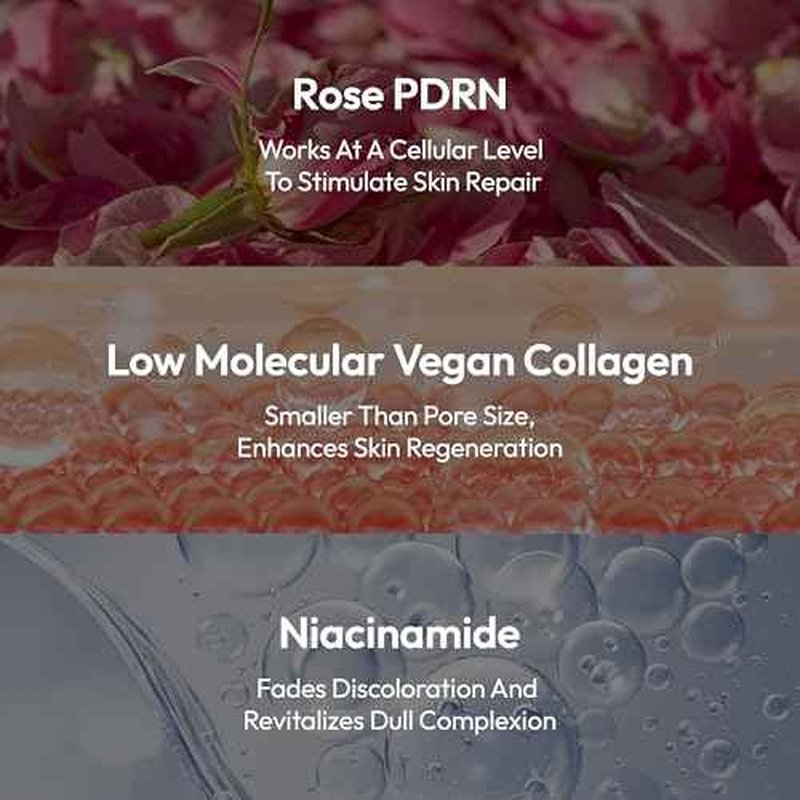 LAPCOS Deep Collagen Glass Skin Overnight Mask - Korean Skin Care Mask w/Rose PDRN, Vegan Collagen & Hydrogel Sheet - Hypoallergenic Firming Collagen Face Mask Sheets (4 ea, 1.23 oz)