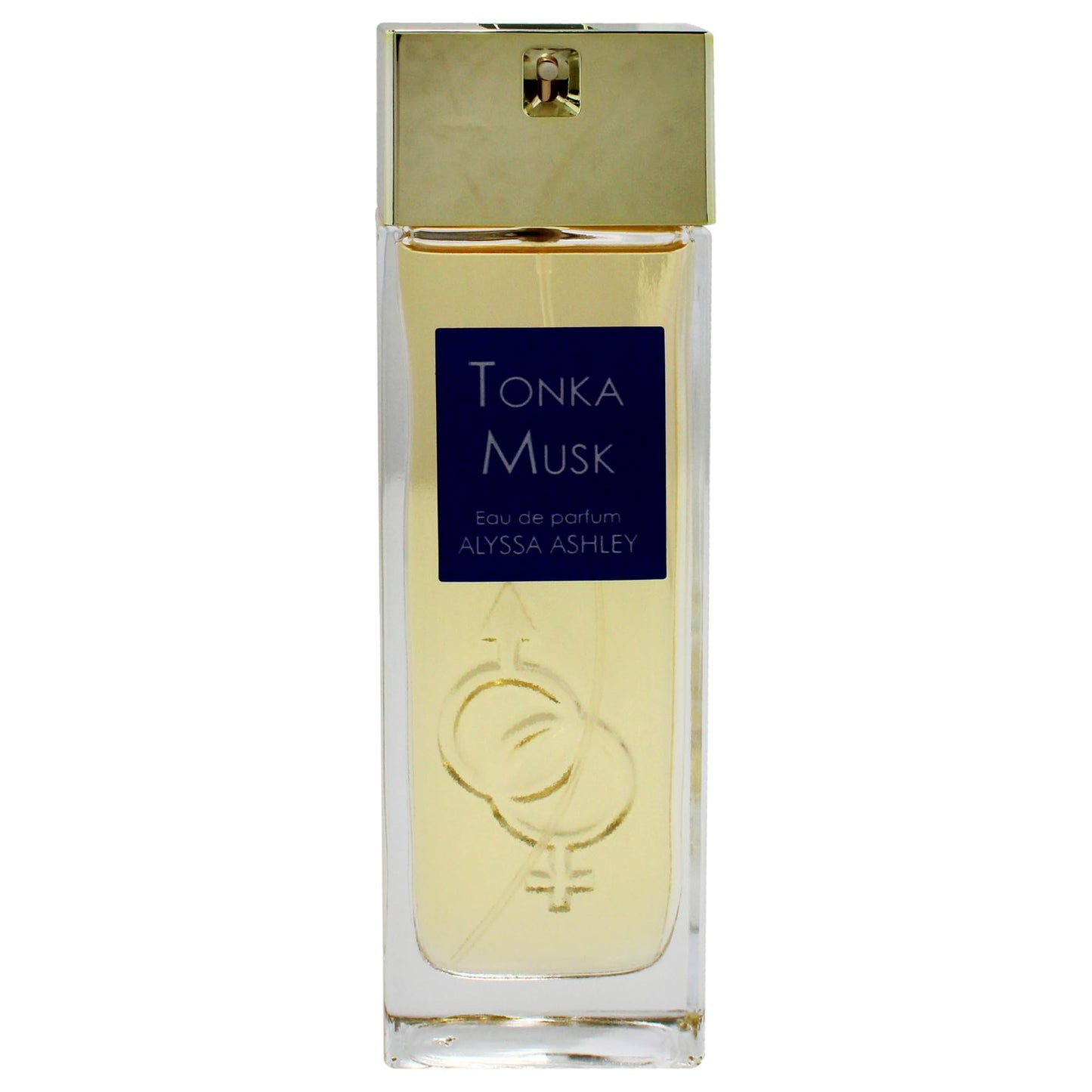 Alyssa Ashley Tonka Musk - Perfumes for Women and Cologne for Men - Long Lasting Amber Fragrance - Mens Cologne - 3.4 oz EDP Spray