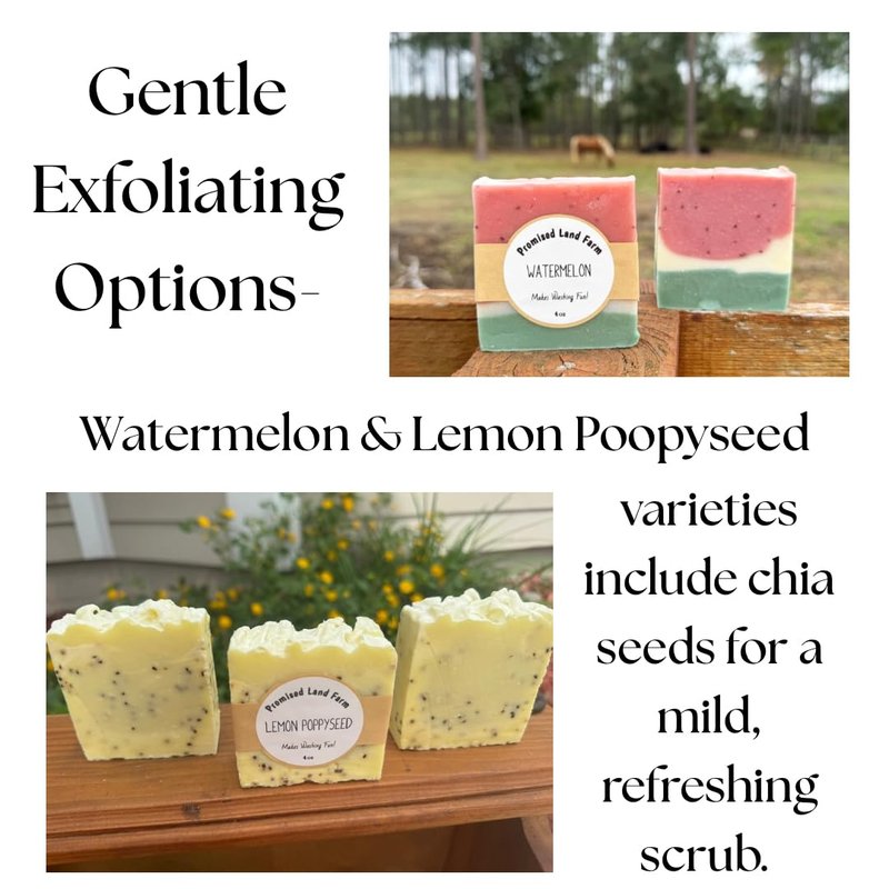 Promised Land Farm Grass-Fed Tallow Soap Bar 4 Pack | Handmade Natural Soap | Cherry Almond, Lemon Poppyseed, Mahogany Teak, Watermelon | Moisturizing Farm Soap For Face & Body | Cold Process