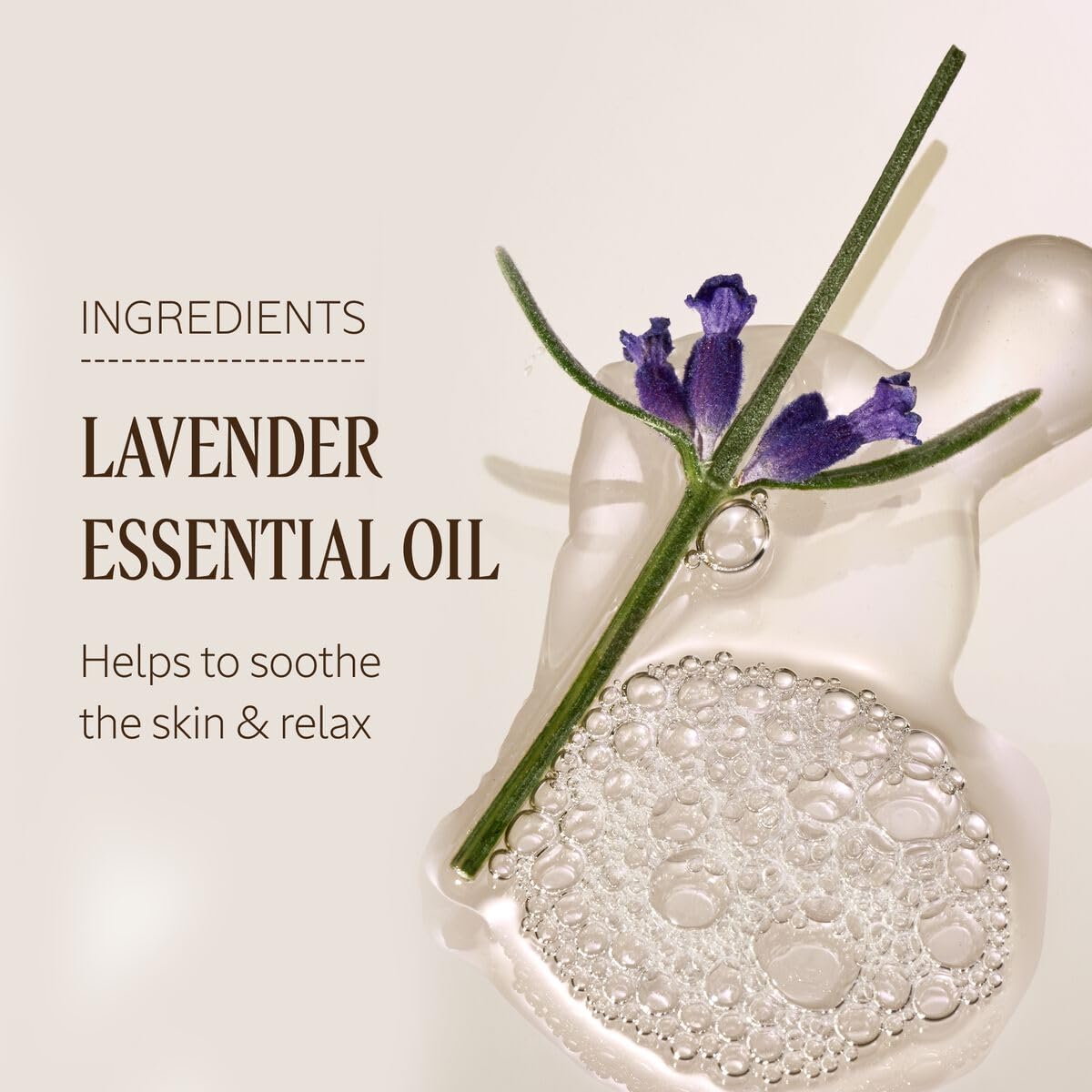 L'OCCITANE Daily Foaming Body Wash - Gentle Bath & Shower Gel for All Skin Types | Eco-Friendly & Vegan