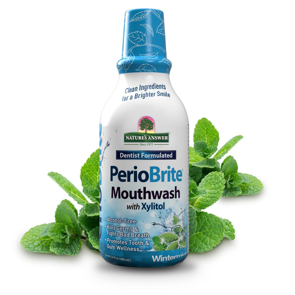 Natures Answer Mouthwash Wintermint Periowash, 1 lb