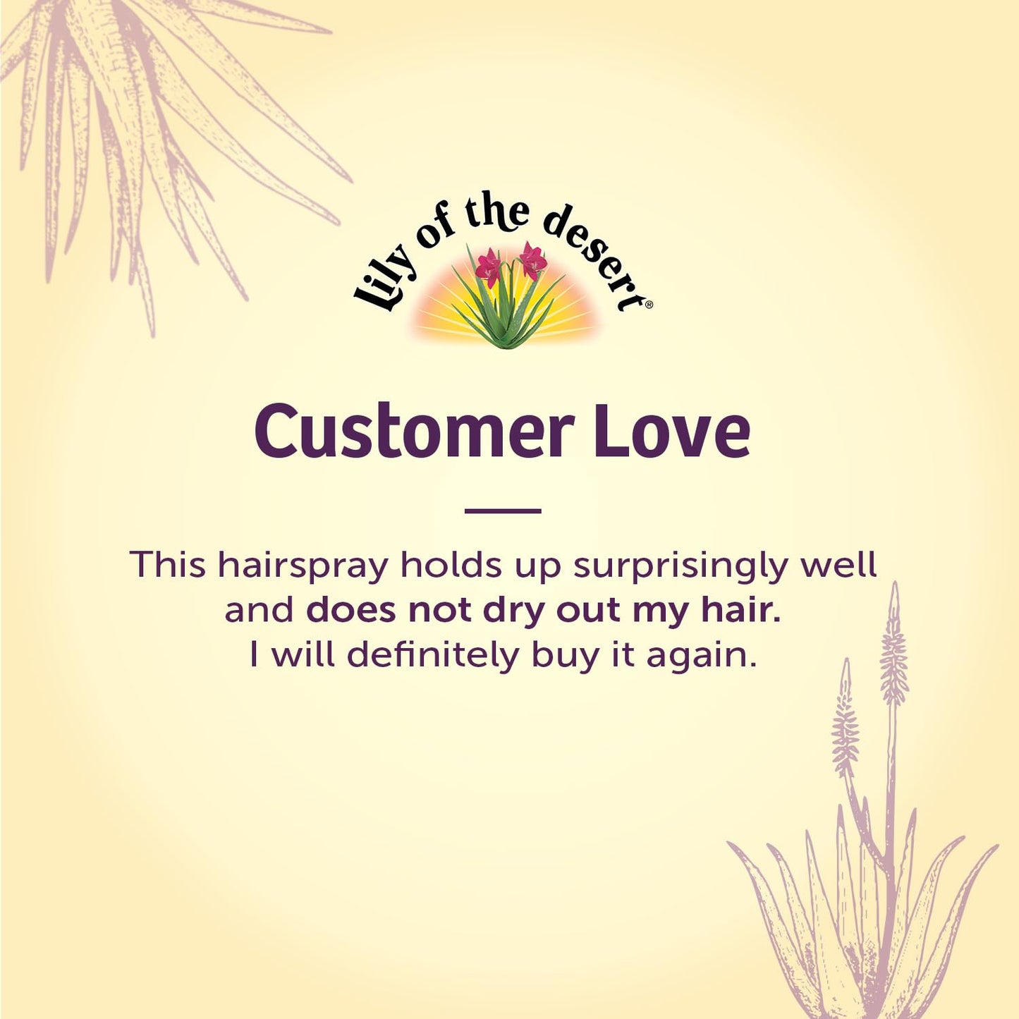 Lily Of The Desert Natural Hold Aloe Vera Hair Spray for All - Unscented, Alcohol-Free, Non-Aerosol, 8 Fl Oz