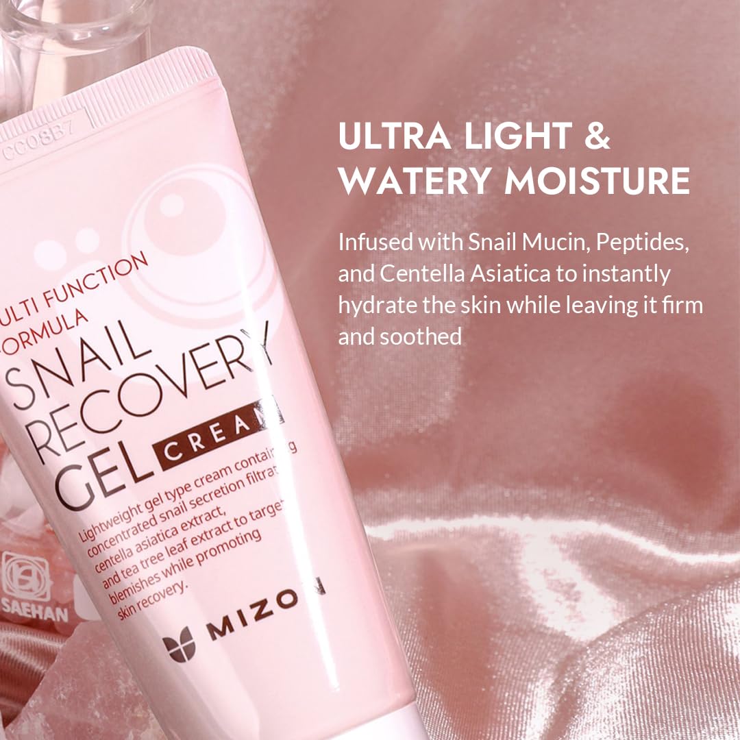 MIZON Set of Two Snail Recovery Gel Cream Snail Mucin with Peptides and Niacinamide for Fine Lines Skin Elasticity Moisture Fragrance-Free Korean Skincare(45ml 1.52 fl.oz -Pack of 2)