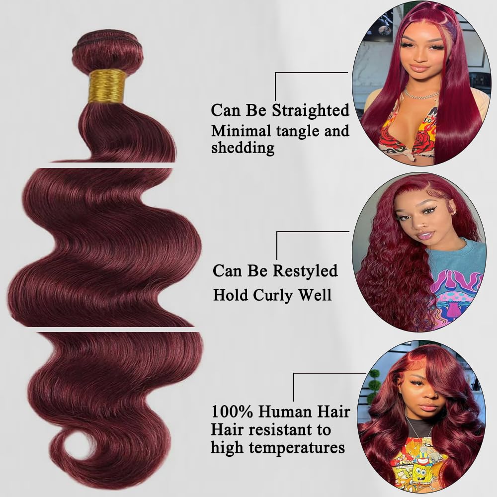 ZGGTL Burgundy Bundles Human Hair 12A 100% Brazilian Raw Human Hair Bundles Quick Weave Double Weft Natural Black for Women Hair Extensions(22Inch)