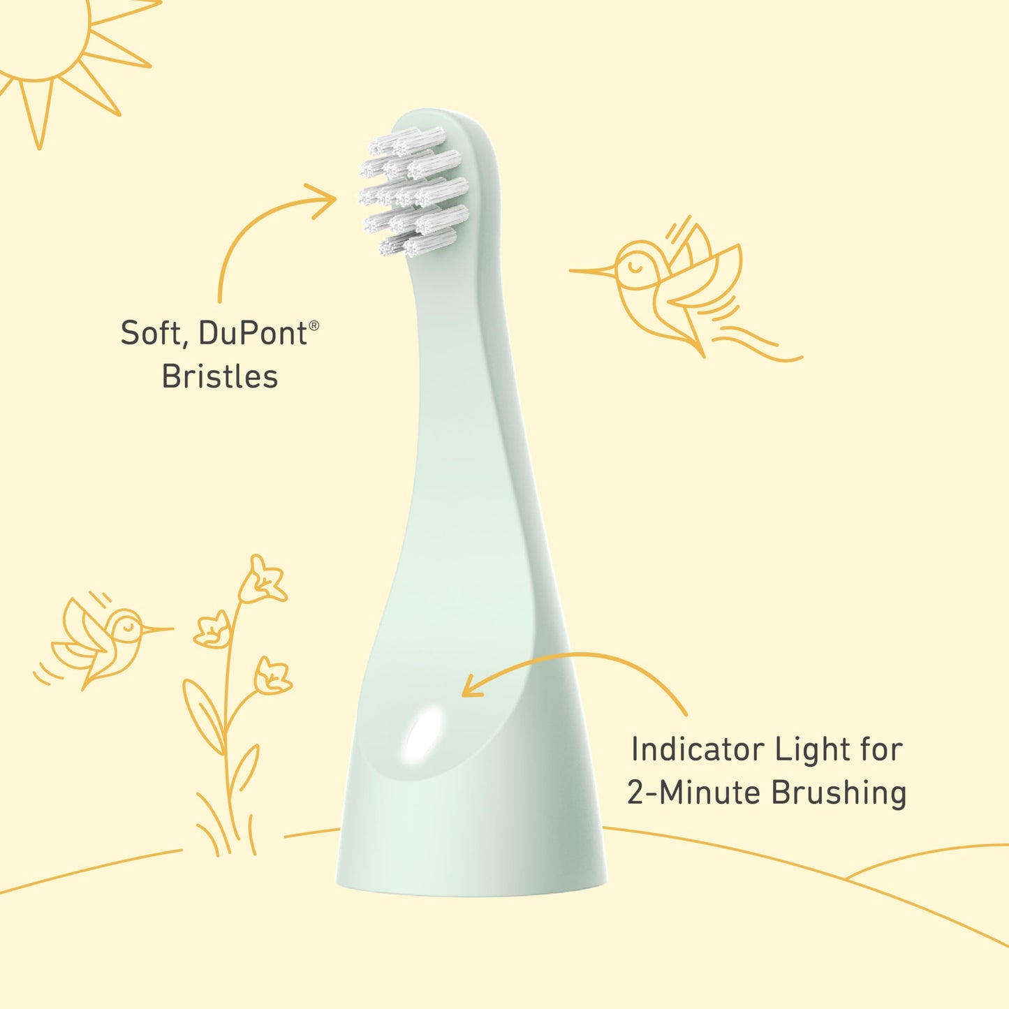 Pure Enrichment PureBaby 2-Pack Replacement Bristle Brush Heads for the Infant-to-Toddler Electric Toothbrush (PEBBYBSH-SG) - Ages 1-3 Years