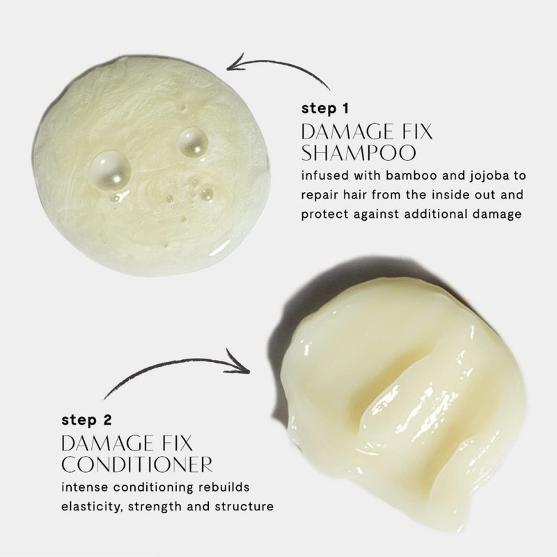Prive Damage Fix Conditioner - Repairs Dry and Over-Processed Hair from Within Protects Future Additional - Smooths Frizz, Restores Shine, Strengthens Weak, Brittle Strands (12 Oz)