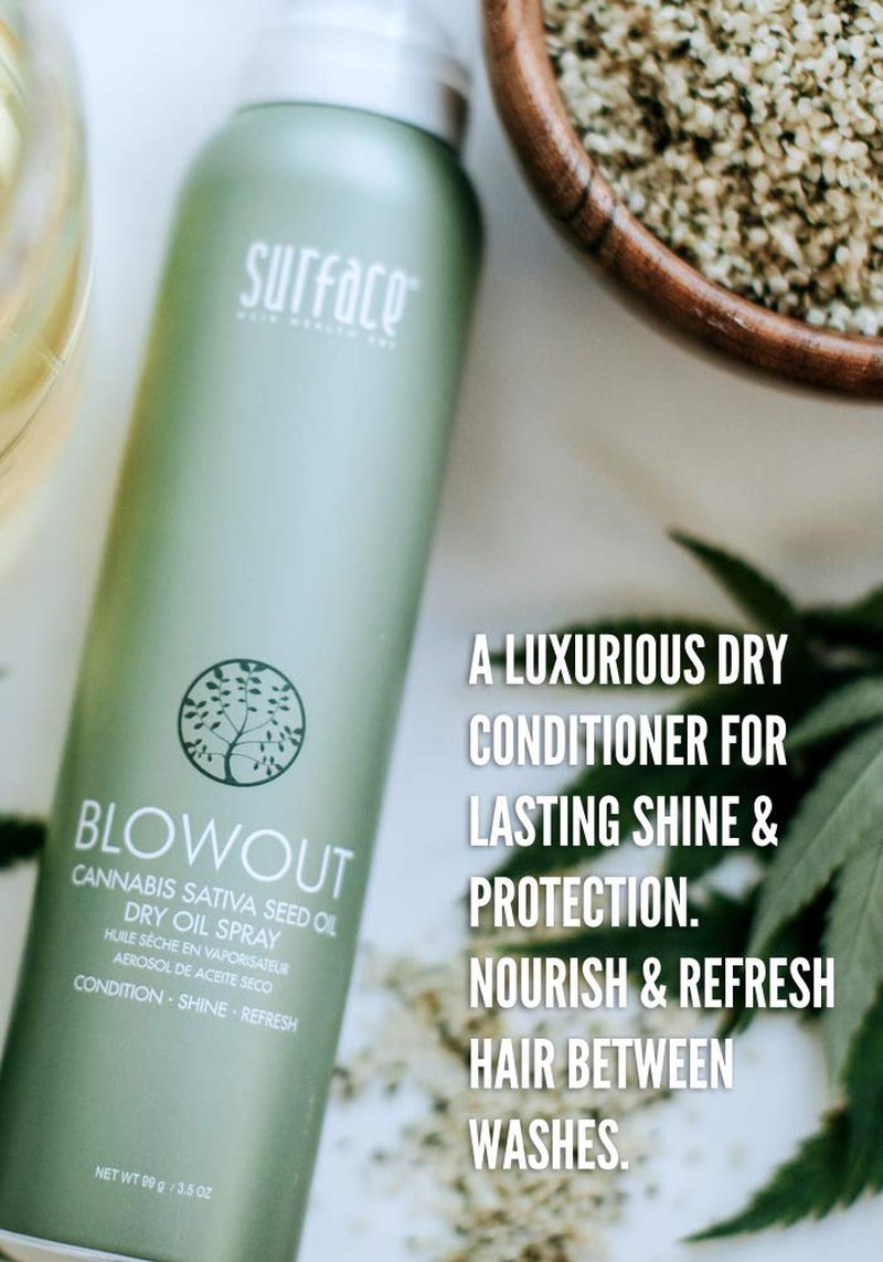 Blowout Dry Oil Spray - Organic Heat-Resistant Formula with Babassu Oil | Lightweight Conditioning - 3.5 fl oz
