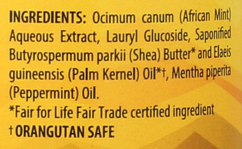 Alaffia Authentic African Black Soap - All-in-One Body Wash & Shampoo | Peppermint, 16 Oz, Fair Trade