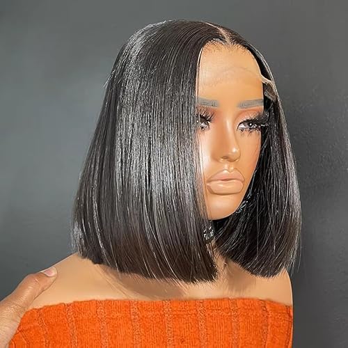 Bob Wig Human Hair 13x4 Lace Frontal Short Straight Lace Front Bob Wigs for Black Women Human Hair Pre Plucked Glueless Side Part 180% Density Black Color 10 Inch