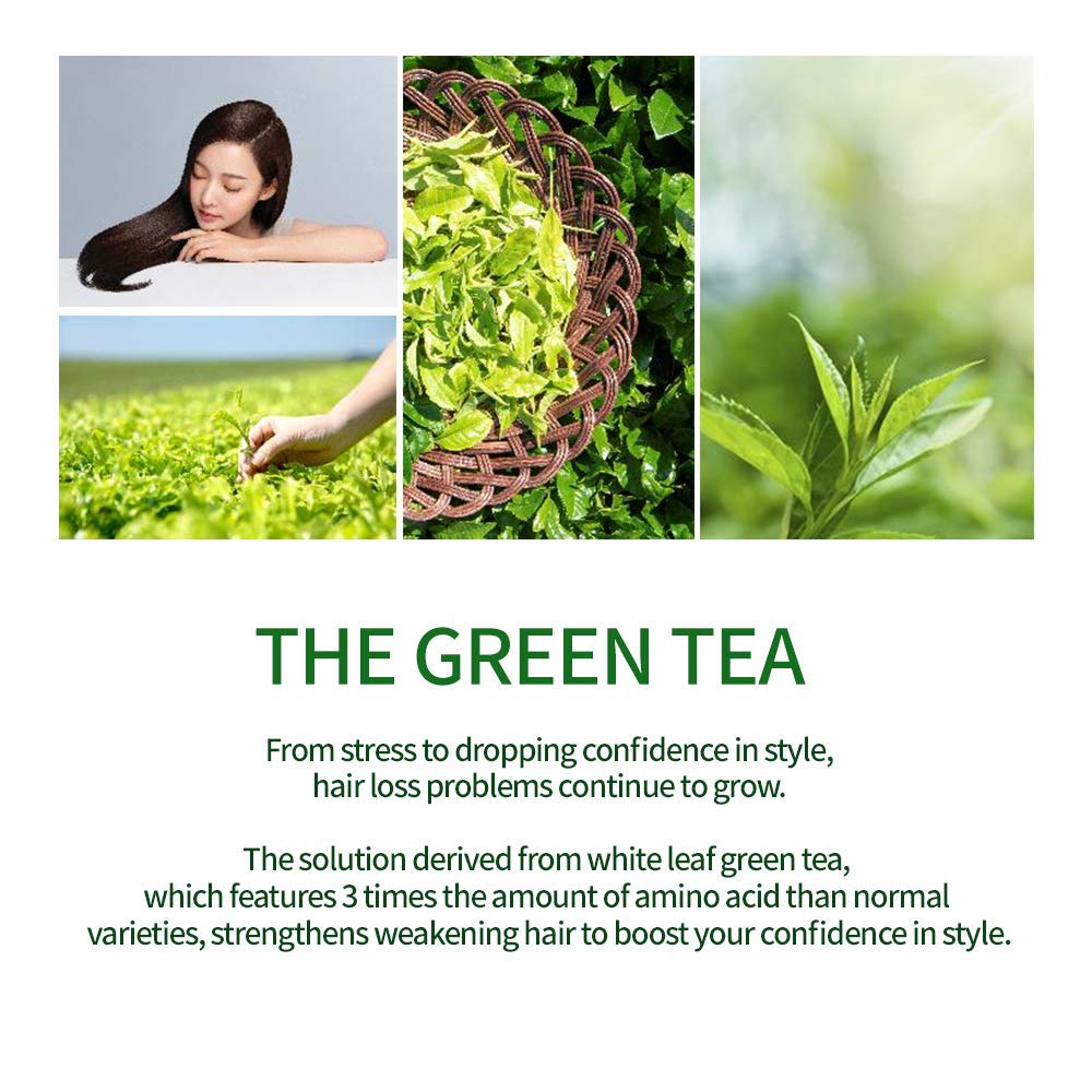AMOS PROFESSIONAL The Green Tea Shampoo [Fresh - For Oily Scalp] 17.6oz (500g) | Anti-Thinning & Anti- Hair Loss Shampoo for Hair Growth and Cleanse Excess Sebum | Korean Hair Salon Brand