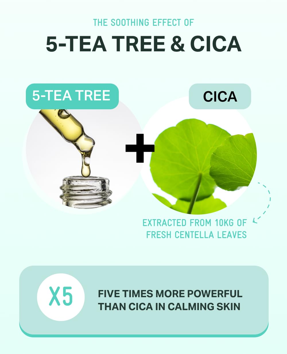 BRING GREEN Tea Tree CICA Soothing Toner | Mild Daily Skincare Routine for Cooling and Hydrating Effect (8.5 Fl. Oz., 250ml)
