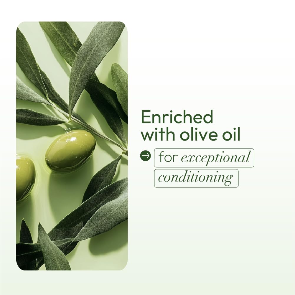 ORS Olive Oil Anti-Frizz Glossing Hair Polisher 6.0 Ounce (Pack of 4)
