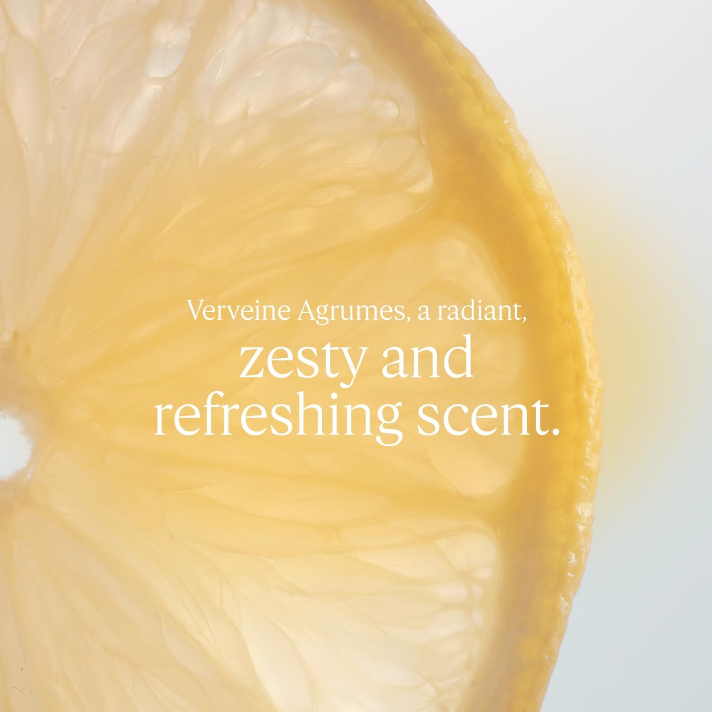 L'Occitane Citrus Verbena Fresh Body Milk 8.40 fl. oz