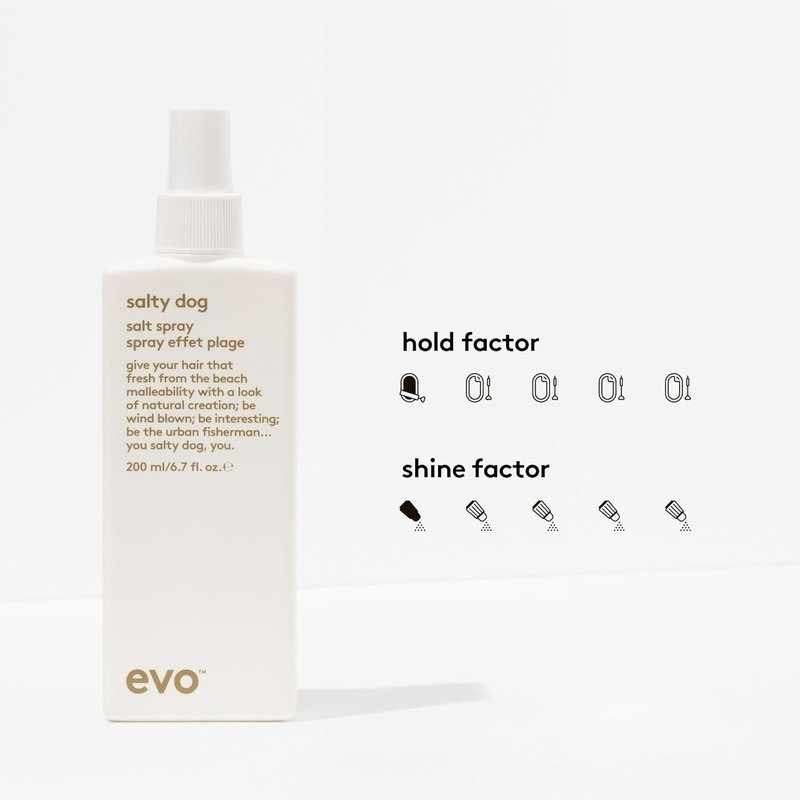 EVO Salty Dog Salt Spray - Beachy Hair Texture & Volume | Natural Matte Finish