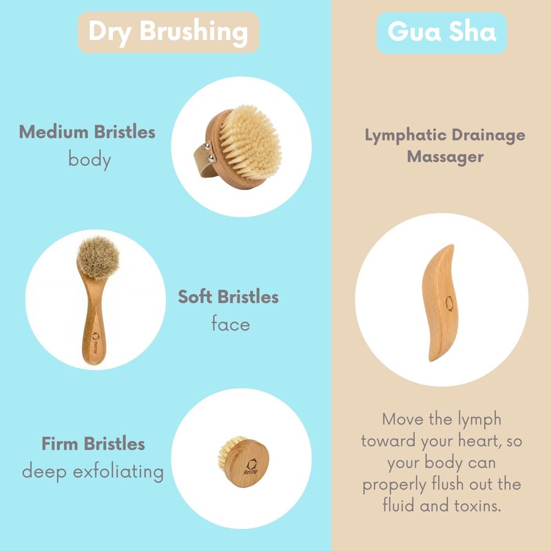 4pcs Dry Brushing Body Brush Set for Lymphatic Drainage-Natural Bristle Dry Skin Brush +Facial Dry Brush for Face+Dry Skin Exfoliating Scrubber+Wood Therapy Massage Tool. Gua Sha, Anti-Cellulite.