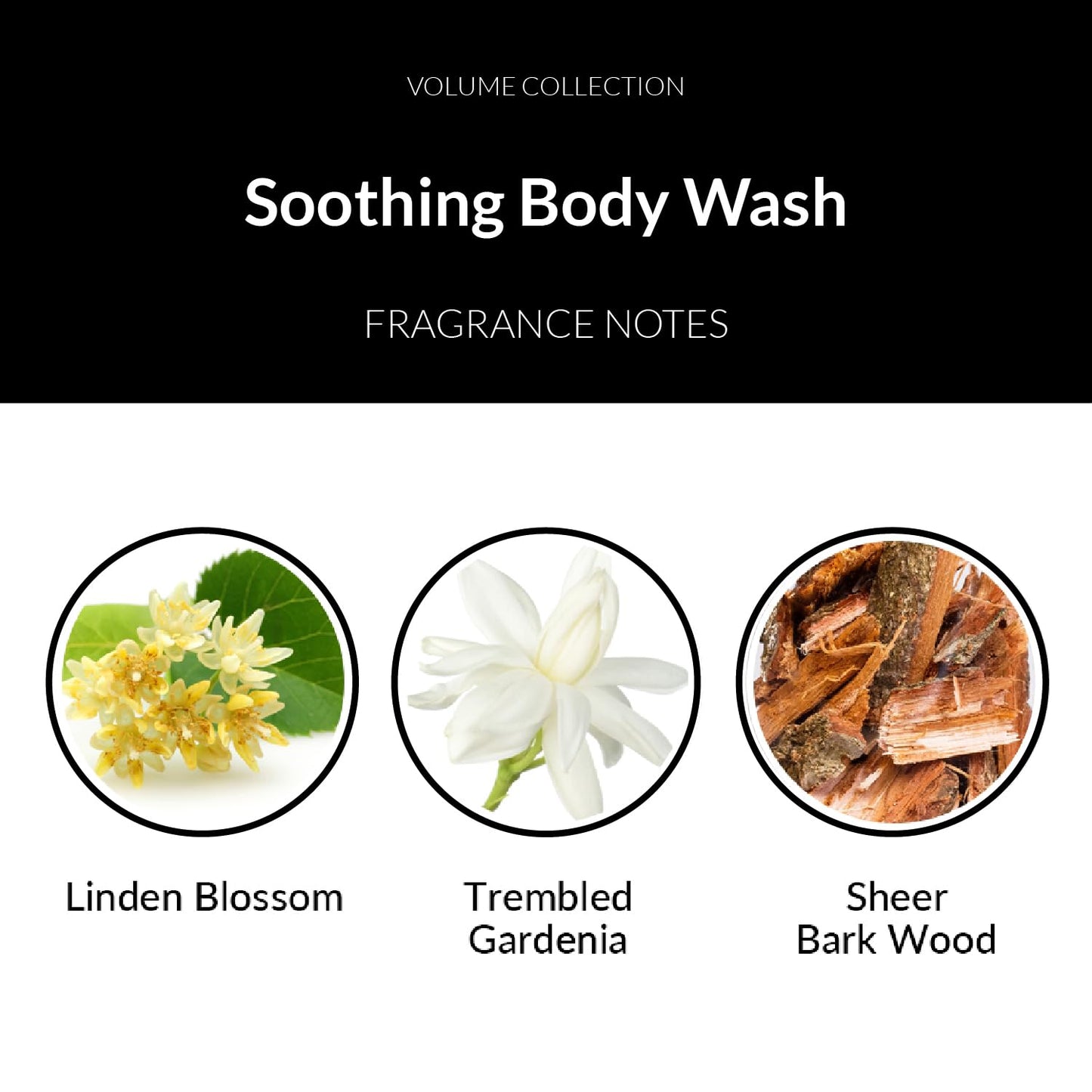 Number 4 Fleurs de Temps Soothing Body Wash. Moisturizing Body Wash with Vitamin E and Oat Extract, 16.9 oz